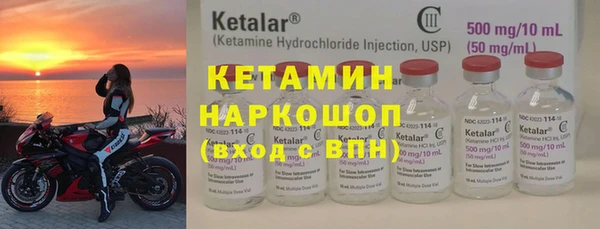 крисы Алексин