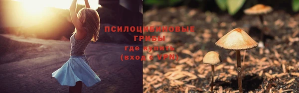 крисы Алексин