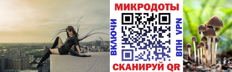 Галлюциногенные грибы Psilocybe  Бирск 