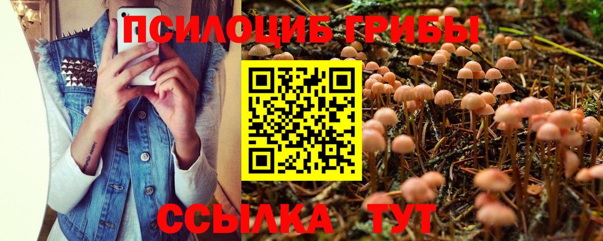 Галлюциногенные грибы мухоморы  Вход с VPN  Бирск 
