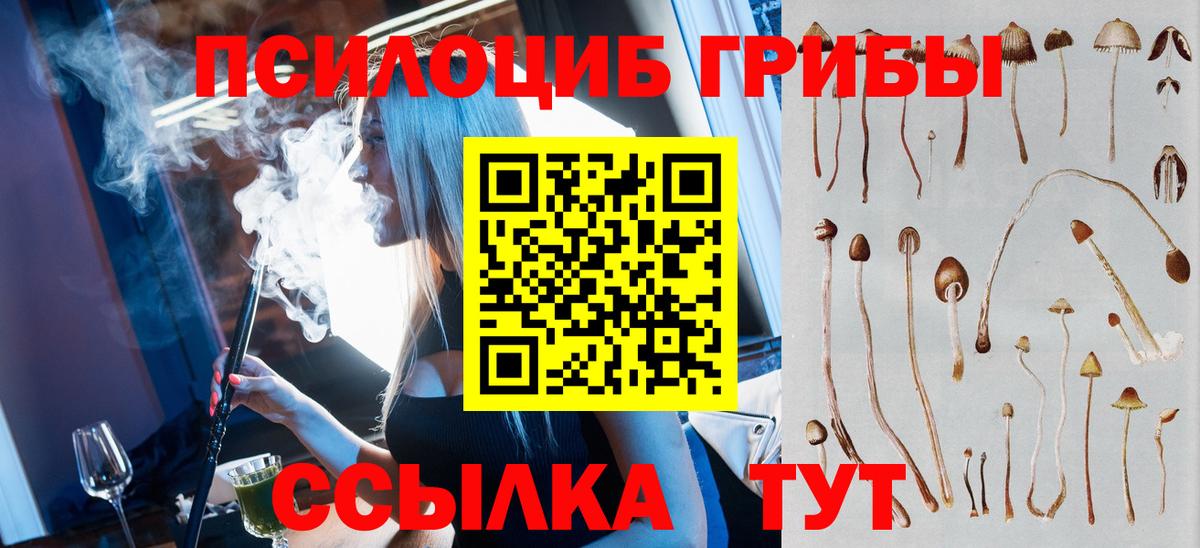 Псилоцибиновые грибы ЛСД Бирск